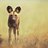 An_Wilddog